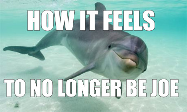 how-it-feels-to-no-longer-be-joe