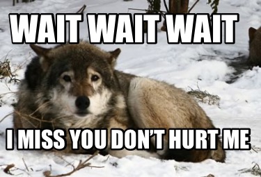 wait-wait-wait-i-miss-you-dont-hurt-me