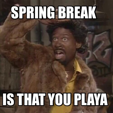 spring-break-is-that-you-playa