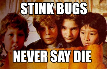 stink-bugs-never-say-die
