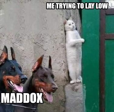 me-trying-to-lay-low-maddox