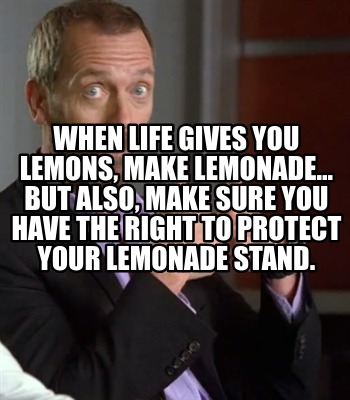 when-life-gives-you-lemons-make-lemonade...-but-also-make-sure-you-have-the-righ