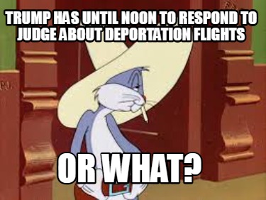 trump-has-until-noon-to-respond-to-judge-about-deportation-flights-or-what