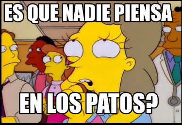 es-que-nadie-piensa-en-los-patos