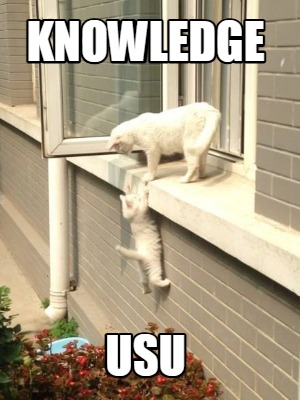 knowledge-usu