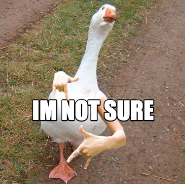 im-not-sure2