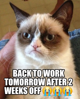 back-to-work-tomorrow-after-2-weeks-off-7