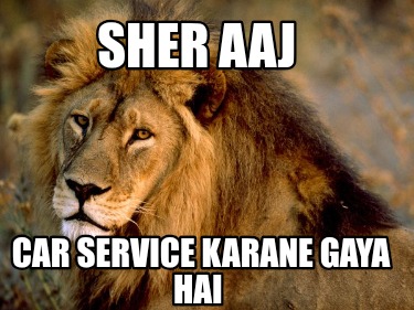 sher-aaj-car-service-karane-gaya-hai