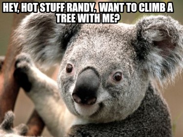 hey-hot-stuff-randy-want-to-climb-a-tree-with-me7