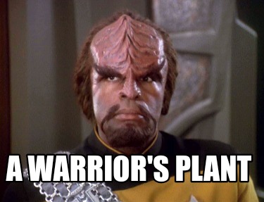 a-warriors-plant