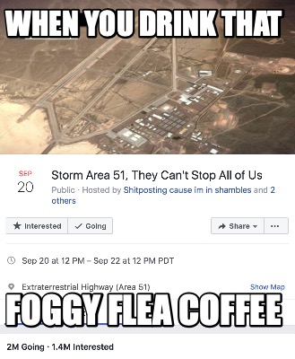 when-you-drink-that-foggy-flea-coffee