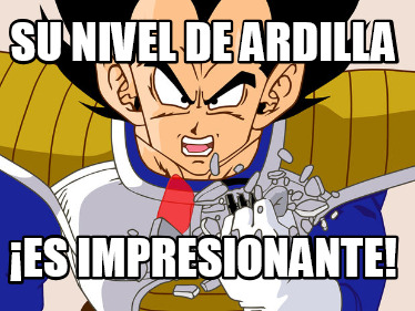 su-nivel-de-ardilla-es-impresionante