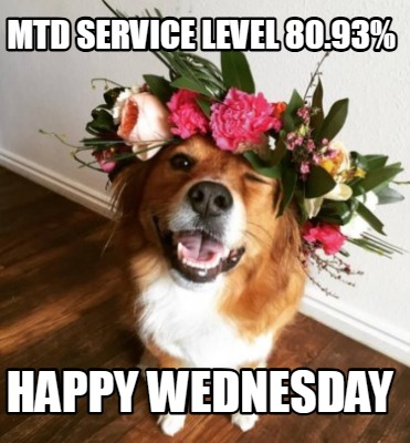 mtd-service-level-80.93-happy-wednesday