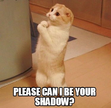 please-can-i-be-your-shadow