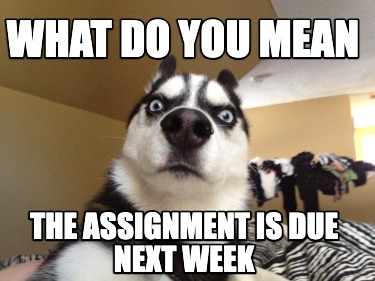 what-do-you-mean-the-assignment-is-due-next-week1