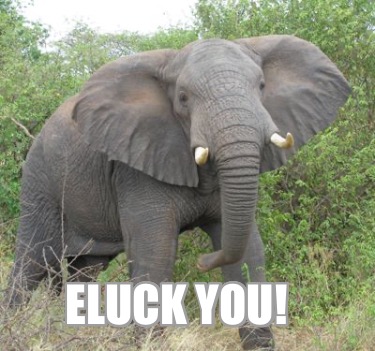 eluck-you