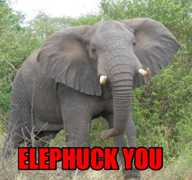 elephuck-you