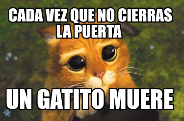 cada-vez-que-no-cierras-la-puerta-un-gatito-muere