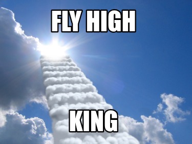fly-high-king6