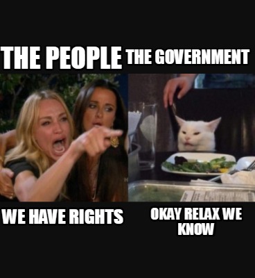the-people-the-government-we-have-rights-okay-relax-we-know
