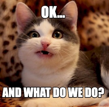 ok...-and-what-do-we-do
