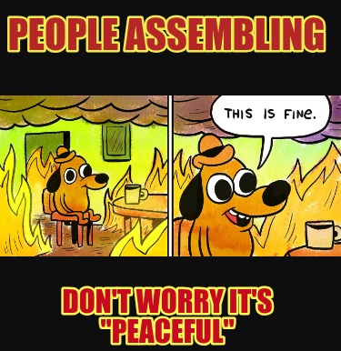 people-assembling-dont-worry-its-peaceful