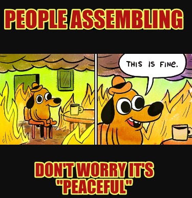 people-assembling-dont-worry-its-peaceful7