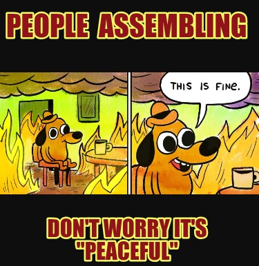 people-assembling-dont-worry-its-peaceful5