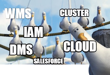 wms-dms-cloud-salesforce-cluster-iam