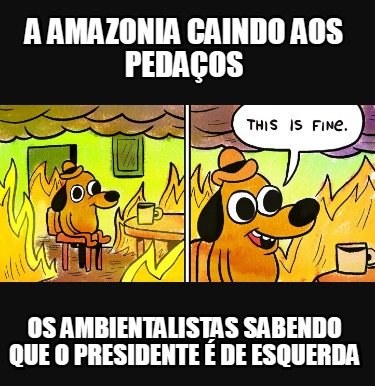 a-amazonia-caindo-aos-pedaos-os-ambientalistas-sabendo-que-o-presidente-de-esque