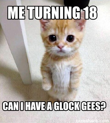 me-turning-18-can-i-have-a-glock-gees