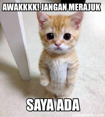 awakkkk-jangan-merajuk-saya-ada
