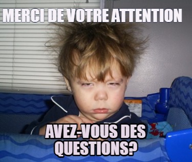 merci-de-votre-attention-avez-vous-des-questions7