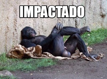 impactado65