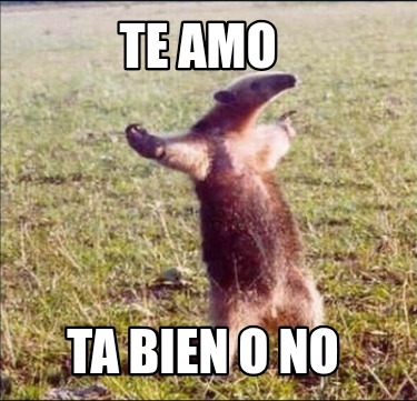 te-amo-ta-bien-o-no