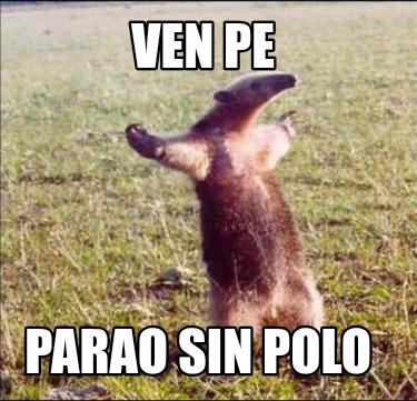 ven-pe-parao-sin-polo5