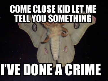 come-close-kid-let-me-tell-you-something-ive-done-a-crime