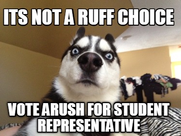 its-not-a-ruff-choice-vote-arush-for-student-representative