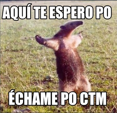 aqu-te-espero-po-chame-po-ctm