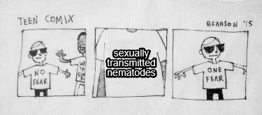 sexually-transmitted-nematodes