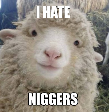 i-hate-niggers