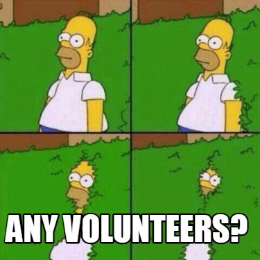 any-volunteers3