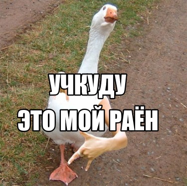 -3341