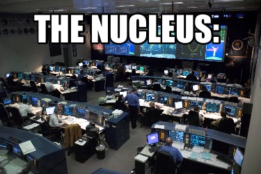 the-nucleus