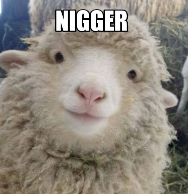 nigger3