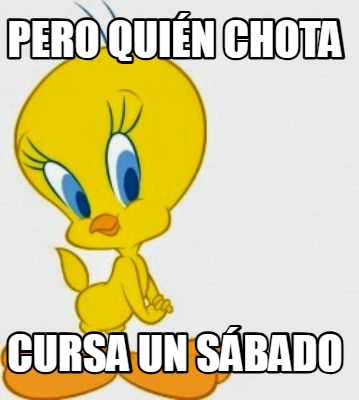 pero-quin-chota-cursa-un-sbado