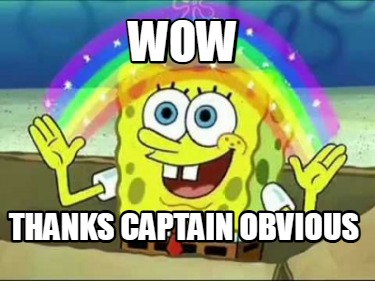wow-thanks-captain-obvious