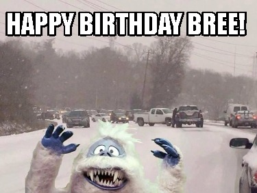 happy-birthday-bree4