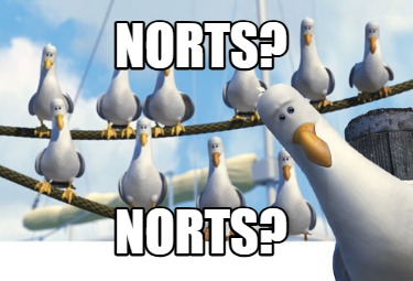 norts-norts