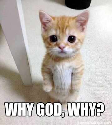 why-god-why46